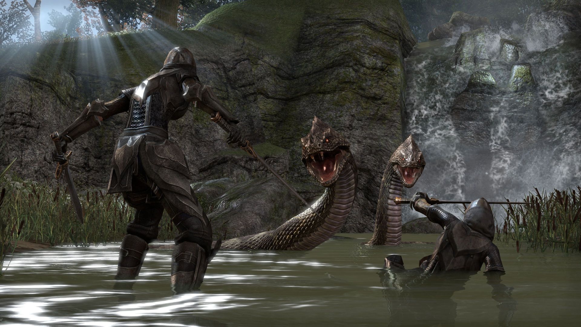 The Elder Scrolls Online: Tamriel Unlimited #1