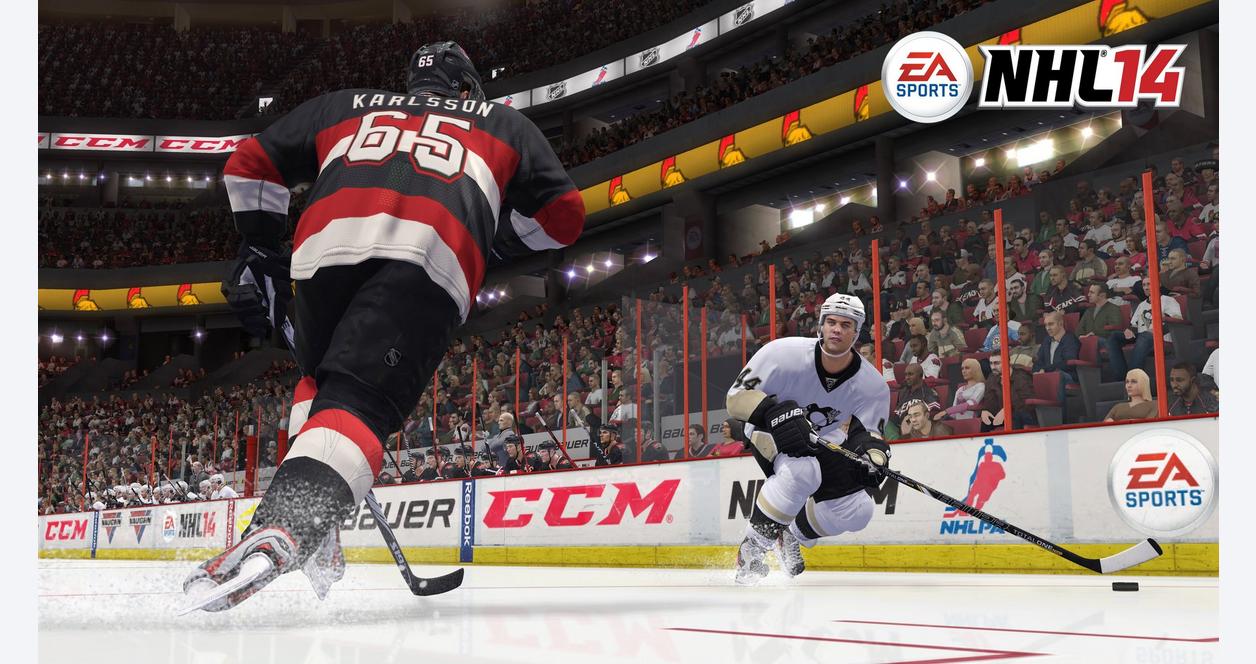 NHL 14 #3