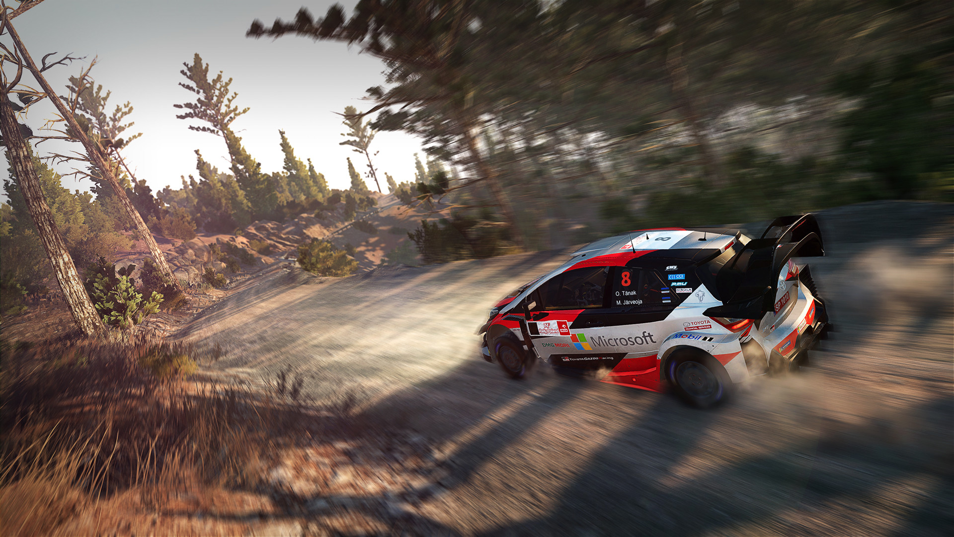 WRC 8 (Collector's Edition) #6