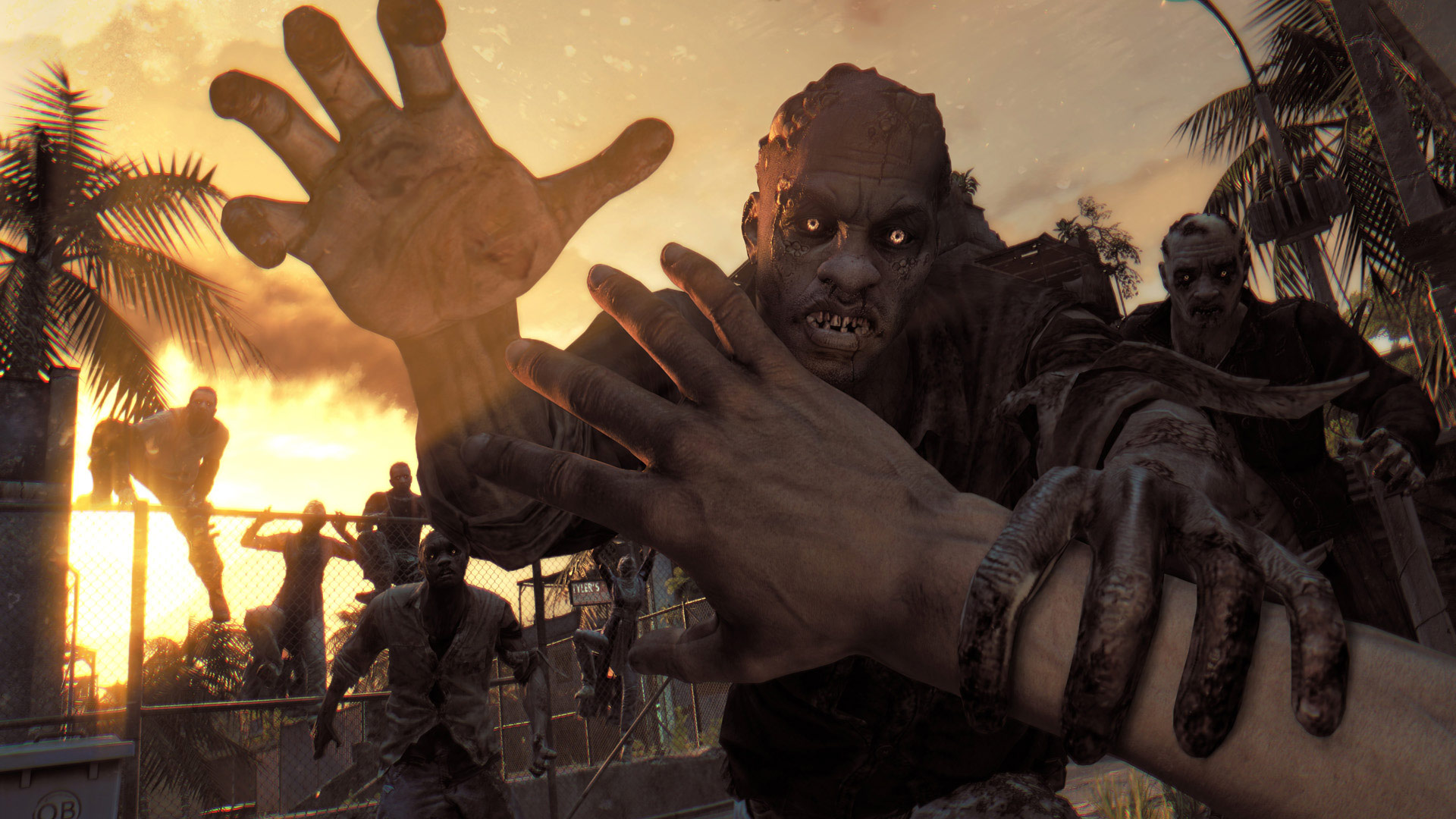 Dying Light (Anniversary Edition) #2