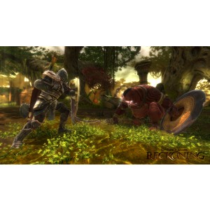 Kingdoms of Amalur: Reckoning #6