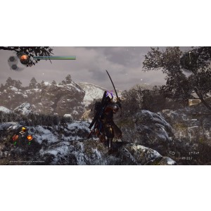Nioh Collection #6