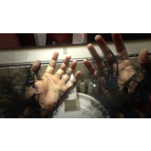 Prey #5